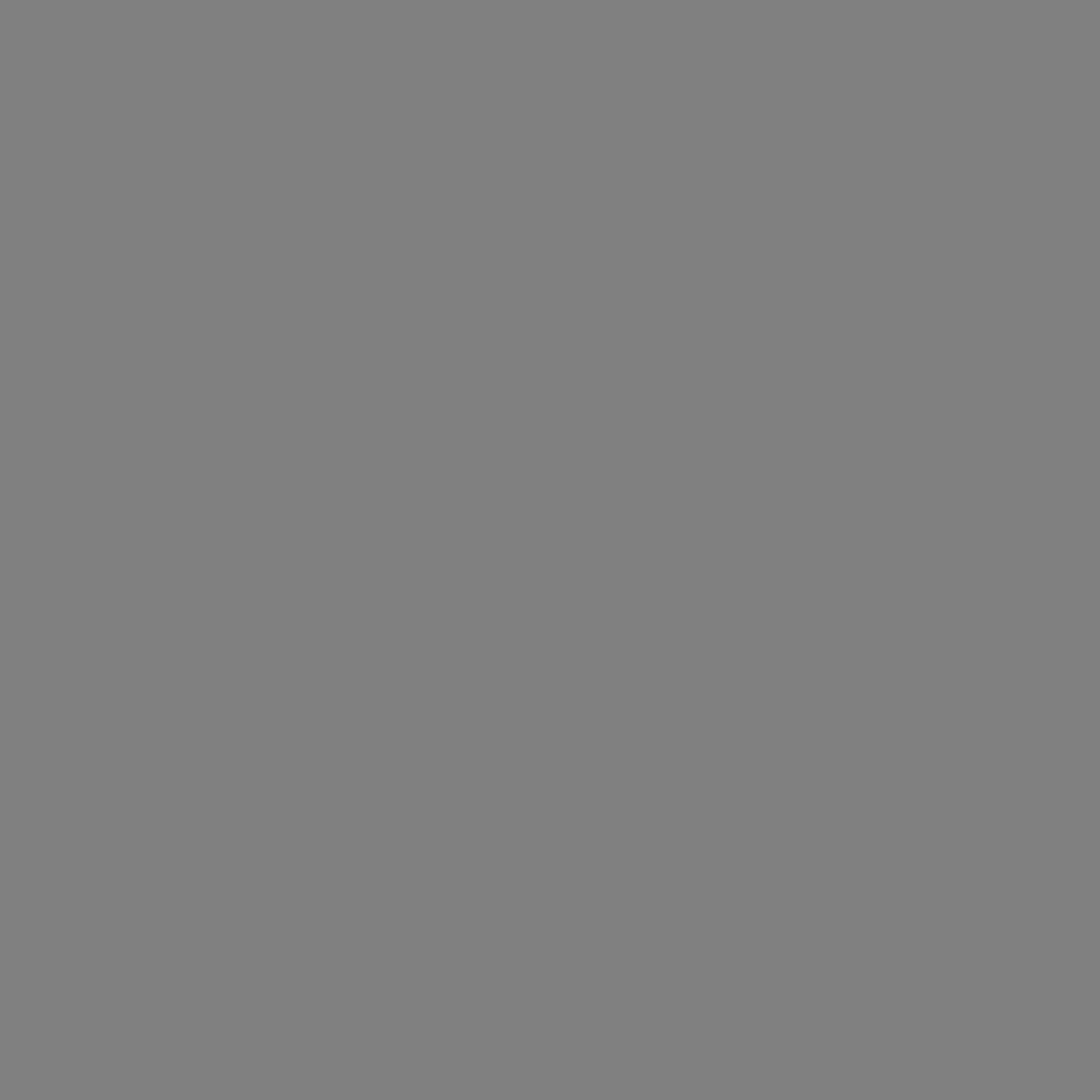 singular image full screen modal view